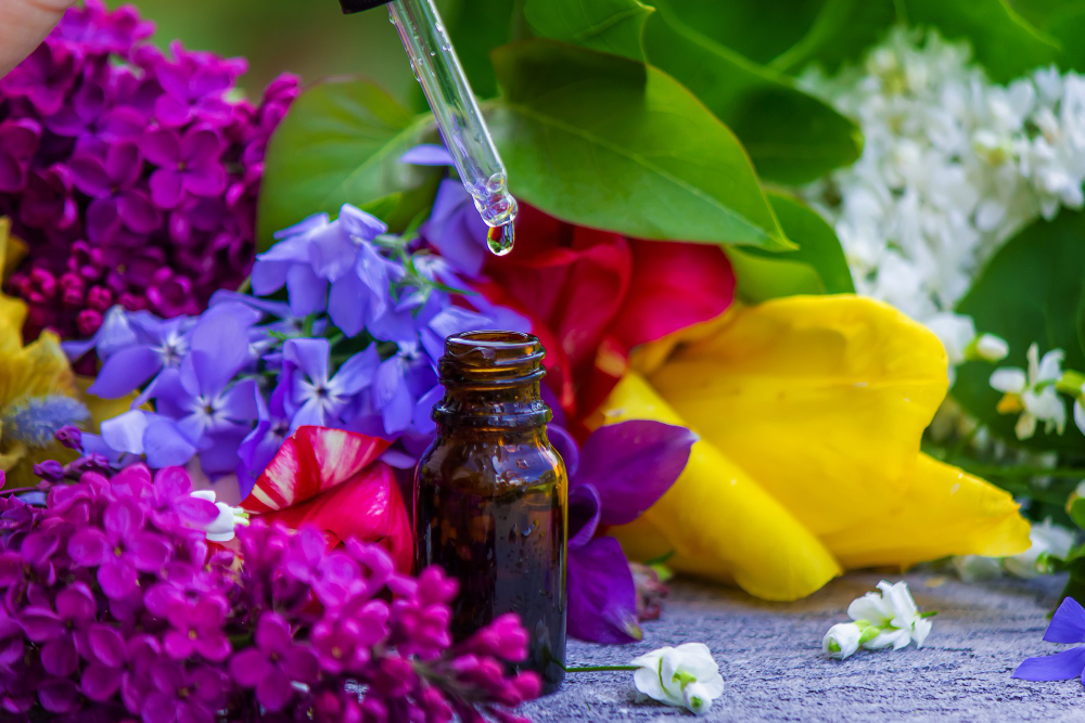 ciceklere-vitamin-olarak-ne-verilir.jpg