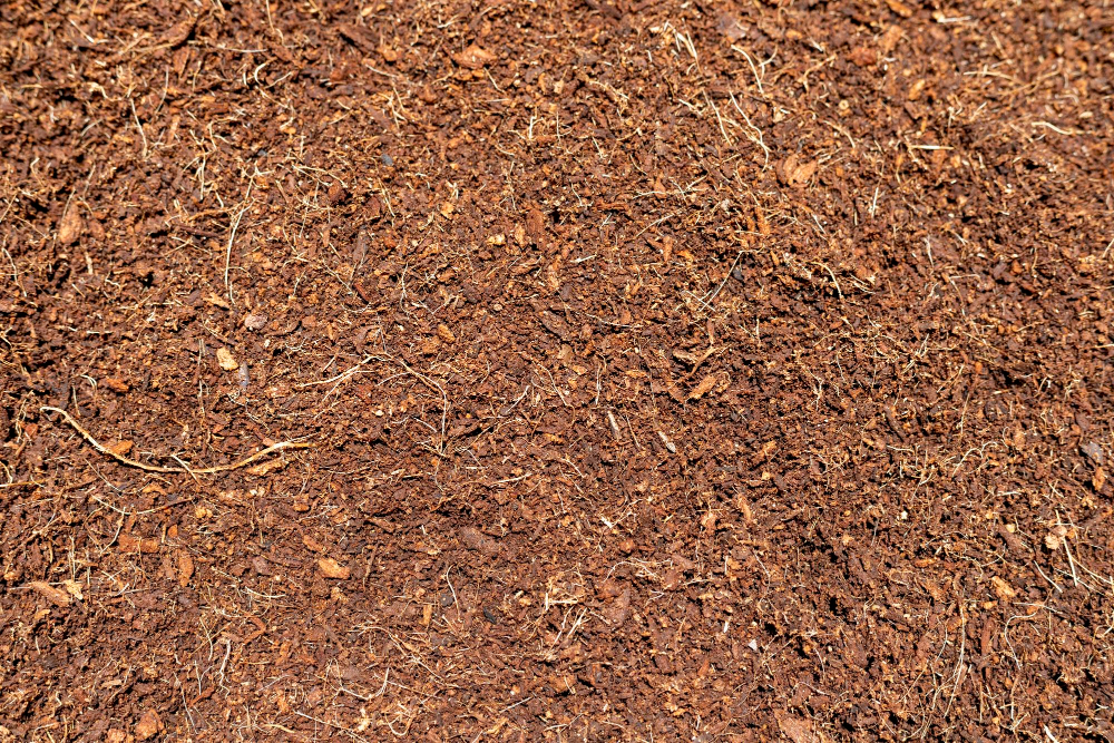 cocopeat-topragi.jpg