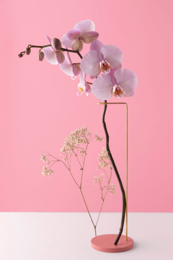 ikebana-nedir.jpg