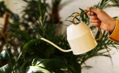 Sulama Hataları: Çiçeklerinize İyi Bakın